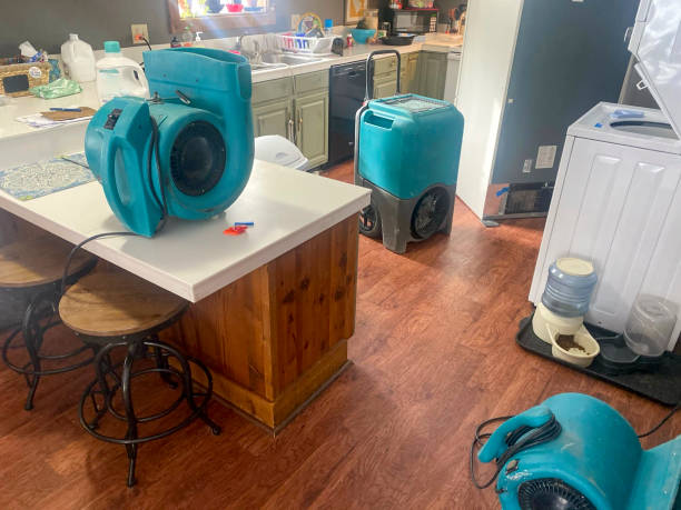 Best Basement water damage restoration  in Medina, OH